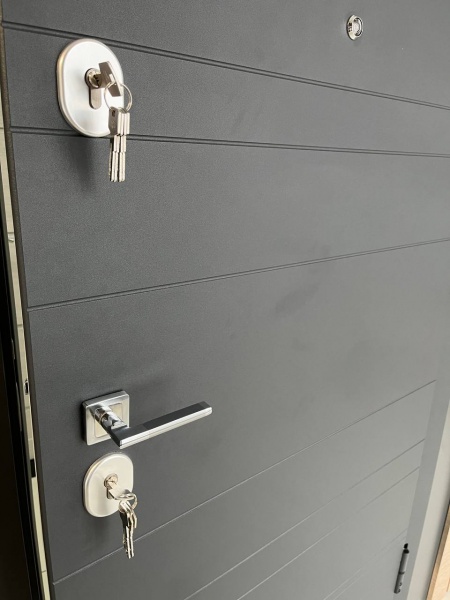 Двері вхідні Tarimus Аріна графіт / дуб немо лате 2050х860 мм праві