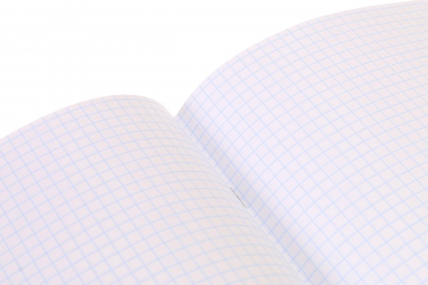 Тетрадь школьная Anime скоба 24 листов в клеточку Мечты сбываются