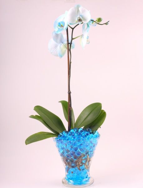 Гидрогель декоративный Water Crystal blue 10 г