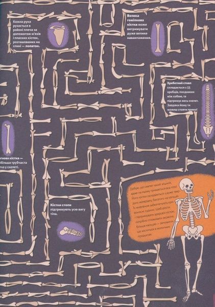 Книга Кристиан Камара «Пізнавальна книжка-гра. Тіло людини» 978-617-739-598-9