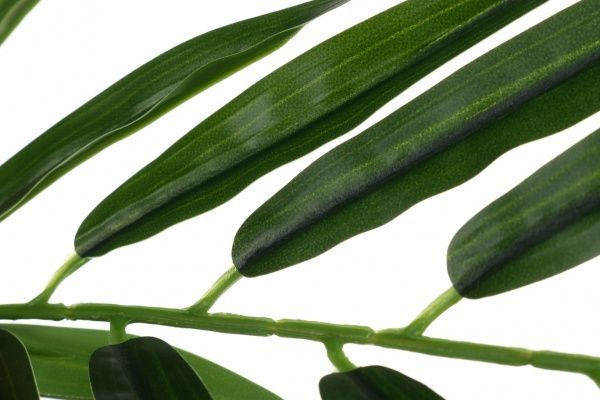 Дерево штучне Бамбук