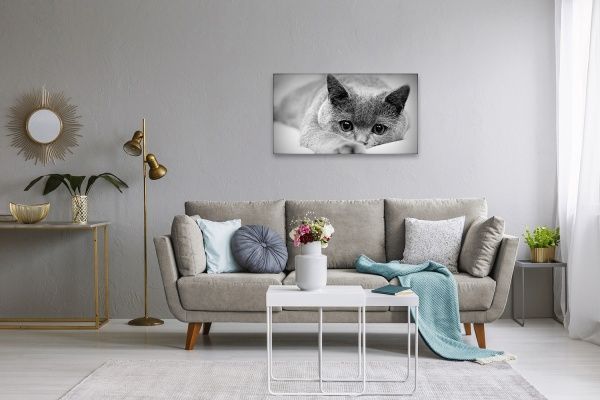 Картина КП08-014 45x60 см 