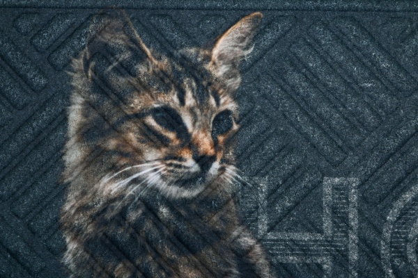 Коврик Multy Home Europe Lima 45x75 в ассортименте 2-й сорт