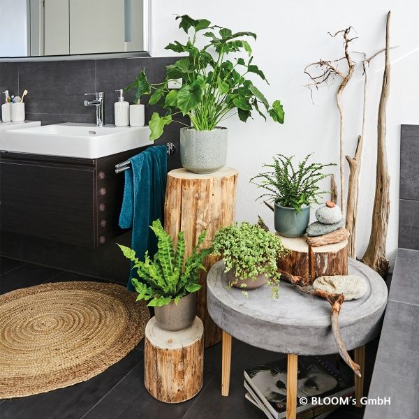 Кашпо керамічне Soendgen Bari 0199-0016-2717 круглий 3,5 л коричневий 