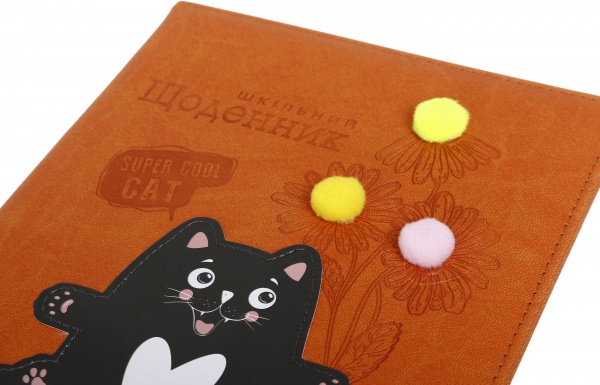 Дневник SD1601 167х211 мм 48 листов Bourgeois