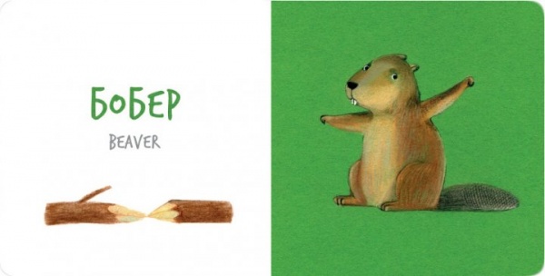 Книга Катерина Таберко «Лесные животные» 978-617-7395-30-9