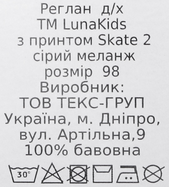 Футболка для хлопчиків Luna Kids з принтом Skate 2 р.110 сірий меланж 
