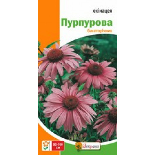 Семена Яскрава эхинацея пурпурная