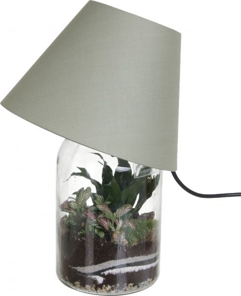 Растение декоративное Террариум в бра 27/40