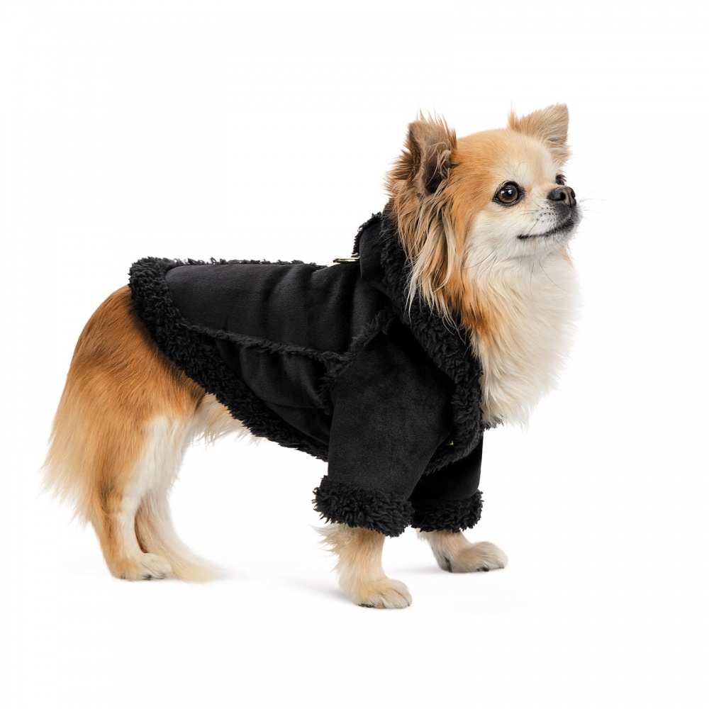 Дубленка Pet Fashion Black S