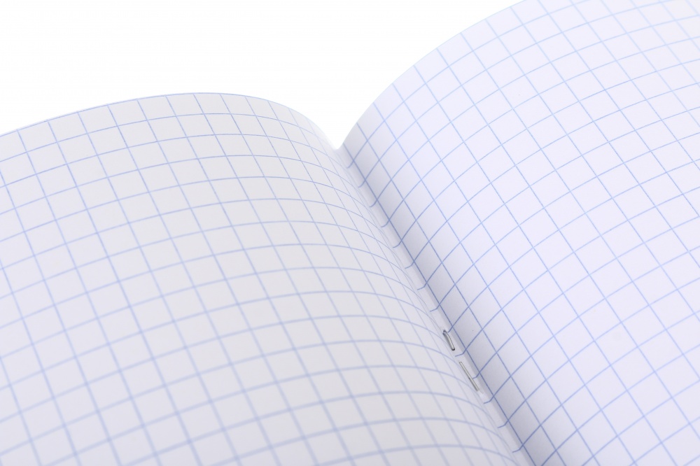 Зошит шкільний Pixel landscape2_25 96 аркушів у клітинку Nota Bene