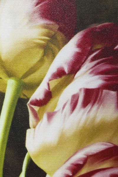 Репродукция Романтизм 828-17 28x80 см 