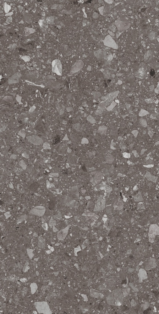 Плитка Allore Group Terra Anthracite F P R Mat 60x120 см