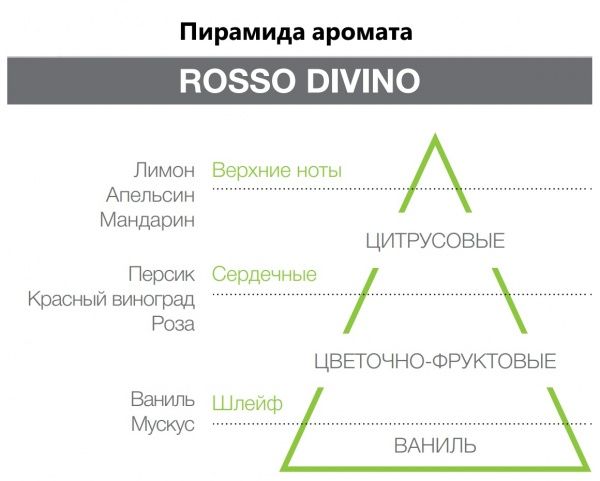 Аромадиффузор для дома Hypno Casa Rosso Divine 100 мл 