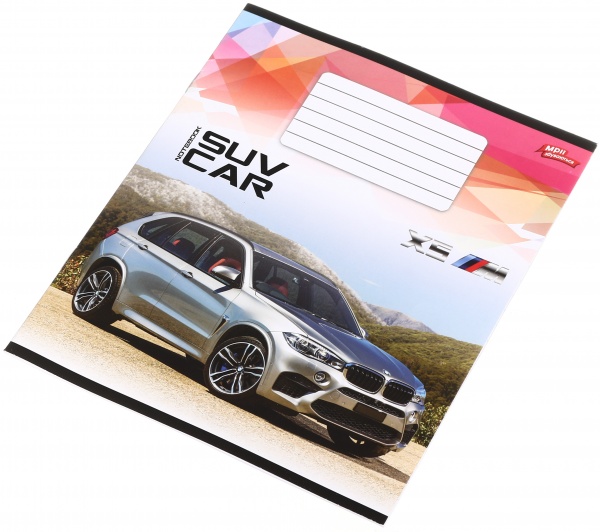 Тетрадь школьная 18 листов в линейку в ассортименте Мечты сбываются