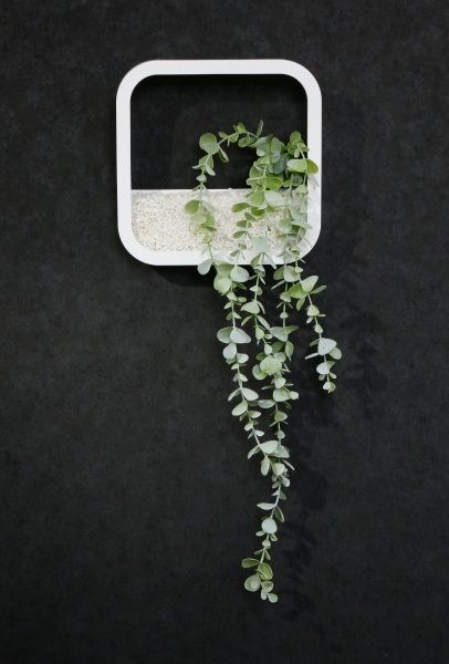 Декор настінний Nature квадратний 22,3x22,3 см білий 