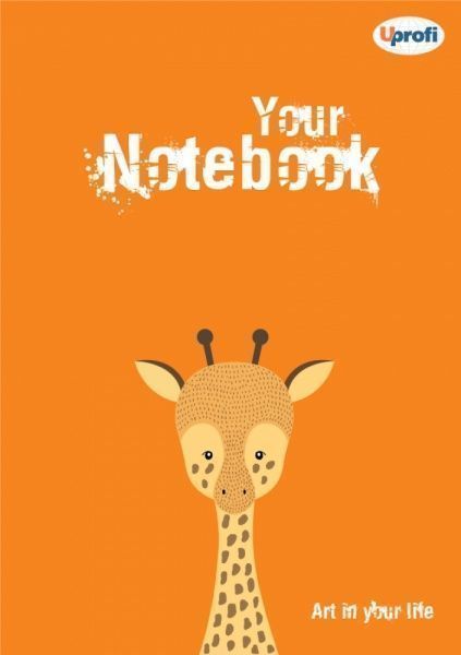 Книга «Блокнот TM Profiplan Artbook orange» 4820199950254