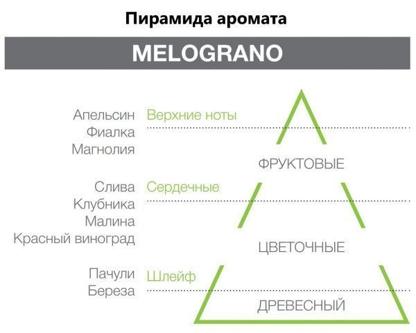 Аромадиффузор для дома Hypno Casa Melograno 1000 мл 
