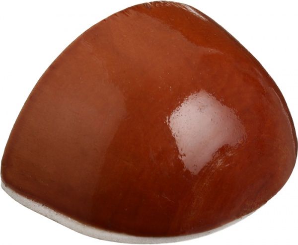 Стопор дверной самоклеящийся REI Стопор дверний самоклейкий REI 1378.93ON дуб (40610146) дуб