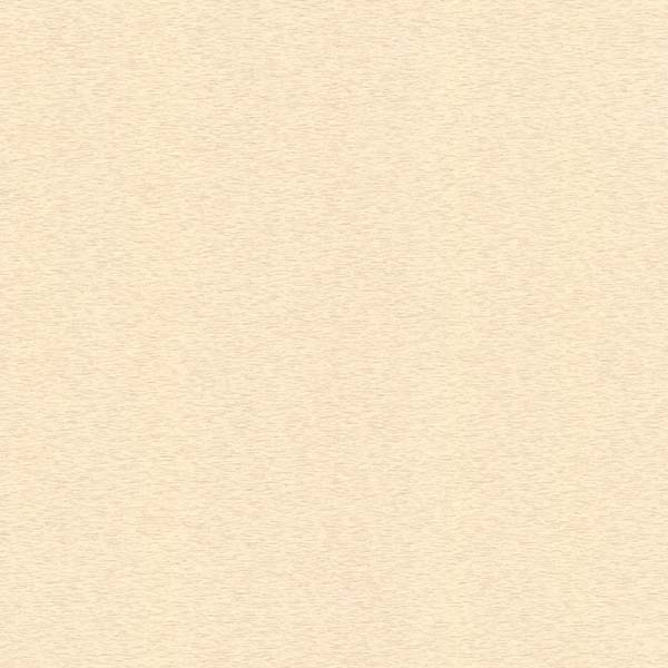 Едем Статус 9039-13 1.06x10.05 м