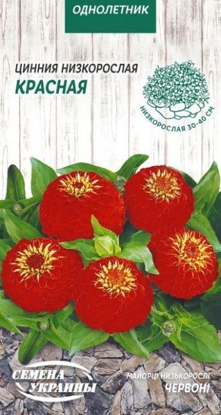 Семена Семена Украины цинния низкорослая красная 806900 0,5 г