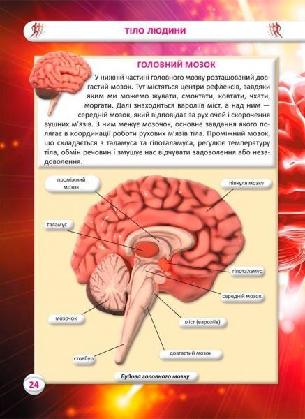 Книга Алина Котка «КнигУсе про тіло людини. 1000 цікавих фактів» 978-966-936-836-2