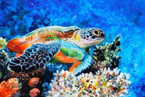 Постер Черепаха Posterclub 