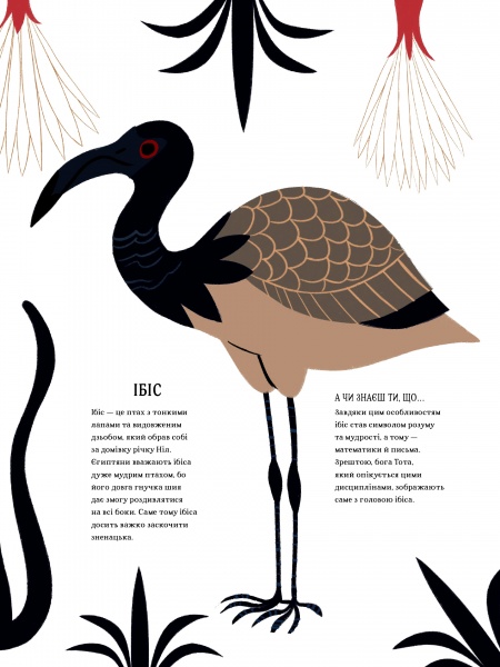 Книга «Атлас мифов. О богах и героях всего мира» 978-617-7820-42-9