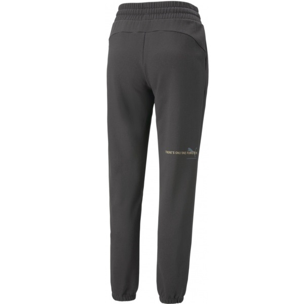 Брюки Puma ESS BETTER SWEATPANTS TR 67329975 р. XS серый