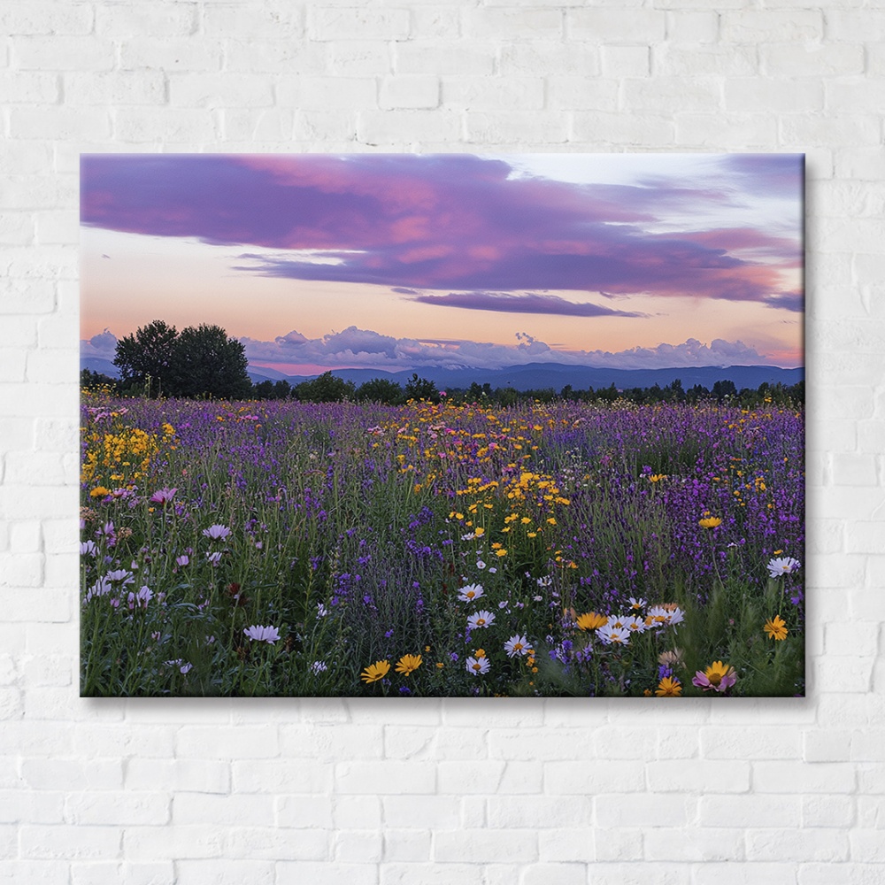 Картина на холсте Цветочная лужайка 3 100x75 см Brushme FNK0122031