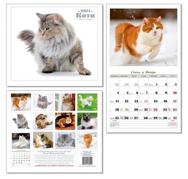 Календарь перекидной «Очеровательные любимцы (Коты) 2021» 4820144130021