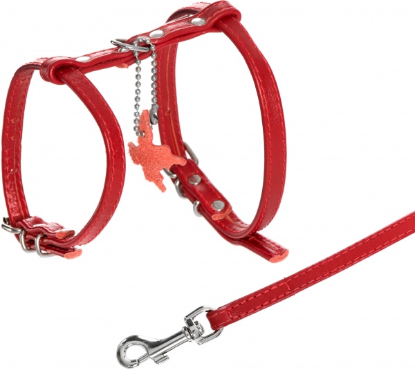 Шлейка Collar Glamour с поводком 9 мм 33993