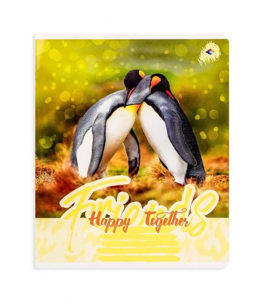 Комплект тетрадей Парочки 24 листа в клетку 20 шт. Поділля