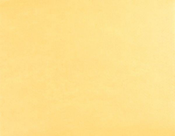 Фетр горчичный,  1 мм, 42,5x33 см