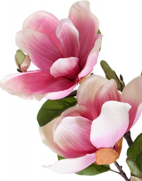 Квітка штучна Магнолія 3 квітки та 5 бутонів 71 см рожево-бузкова