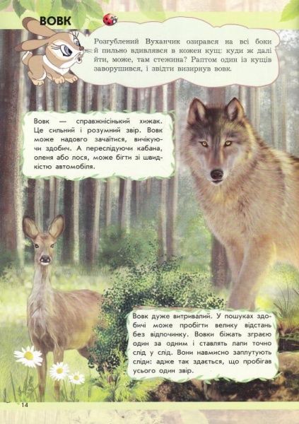 Книга Ганна Макуліна «Світ тварин. Від хом'ячка до динозавра» 978-617-09-2459-9