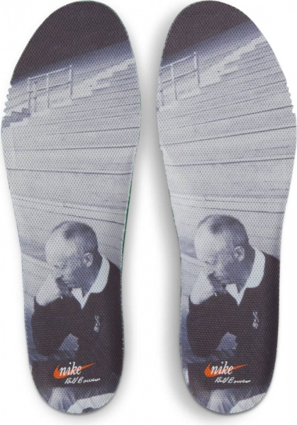 Кроссовки Nike NIKE AIR ZOOM PEGASUS 40 PRM FJ0329-100 р.41 зеленый