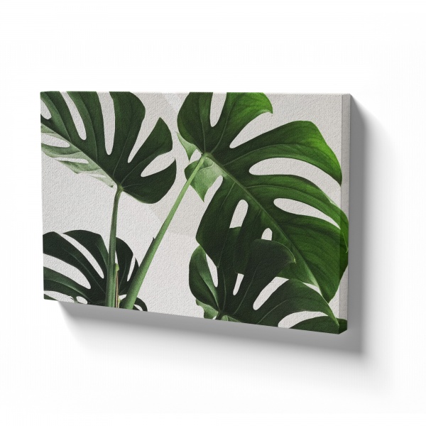 Картина на холсте Листья монстеры 110x80 см WS Holst 14082212 
