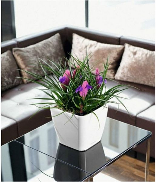 Вазон пластиковий Lechuza Quadro Premium LS 21 квадратний 9,5л білий 