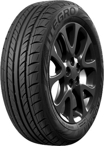 Шина ROSAVA ITEGRO 155/70R13 75T літо
