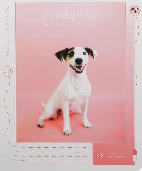 Тетрадь школьная Tadward 12 листов клетка