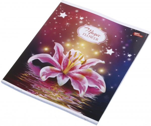 Зошит шкільний 60 аркушів у клітинку в асортименті Мрії збуваються