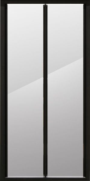 Душевые двери Bravat Black Line 100х200 см