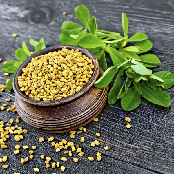 Насіння Професійне насіння гуньба (фенугрек) 0,5 г (4820176694133)