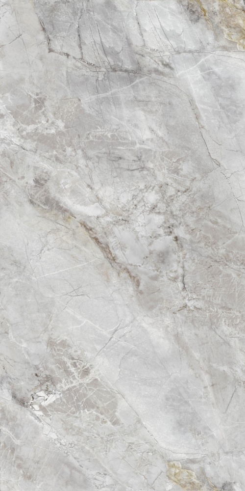 Плитка Allore Group Alpina Silver F P R Sumat 60х120 см