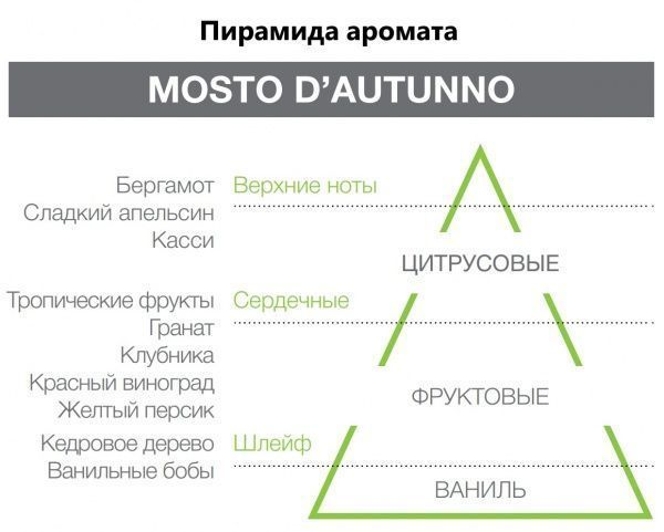 Аромадиффузор для дома Hypno Casa Mosto D'autunno 1000 мл 