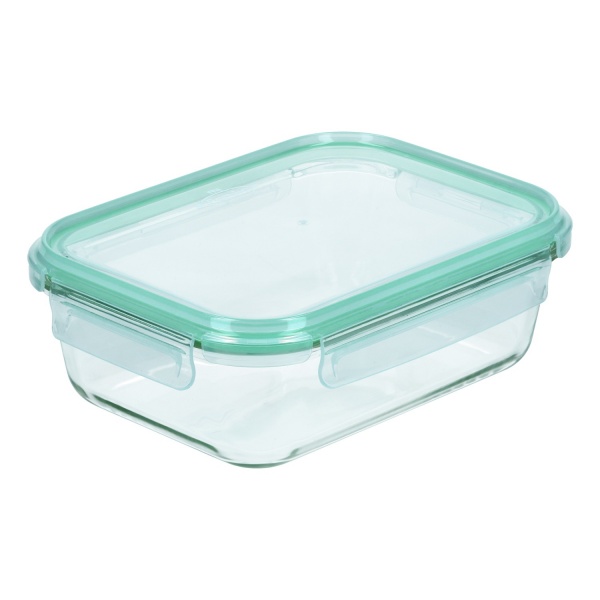 Контейнер Full wrapped 650 мл прямоугольный мятный miFamilia