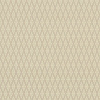 Шпалери Vinil Дуглас ТФШ5-1342 