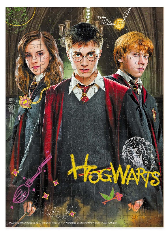 Пазл DoDo Medium-S Harry Potter. Гарри и друзья, 250 элементов 200498