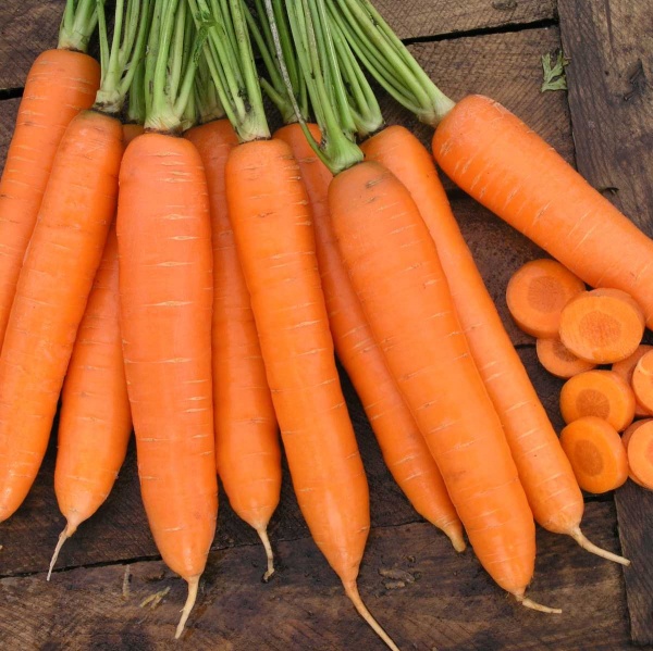 Насіння Професійне насіння морква Сіркана F1 400 шт. (4823058206998)